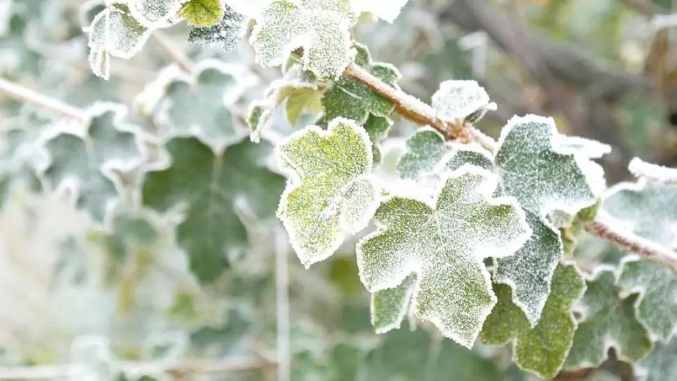 Prognoza meteo 30 ianuarie