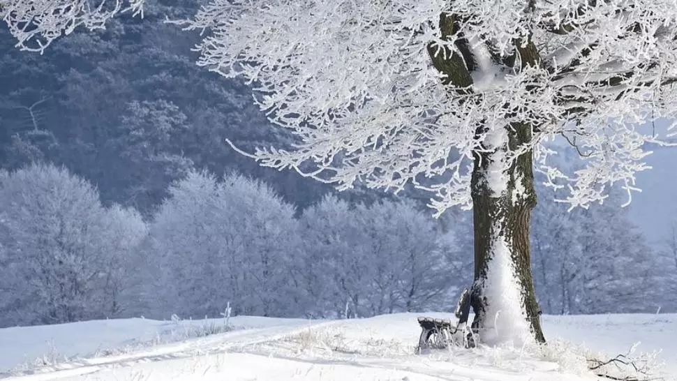 Cea mai geroasă noapte din această iarnă. MINUS 24 de grade Celsius