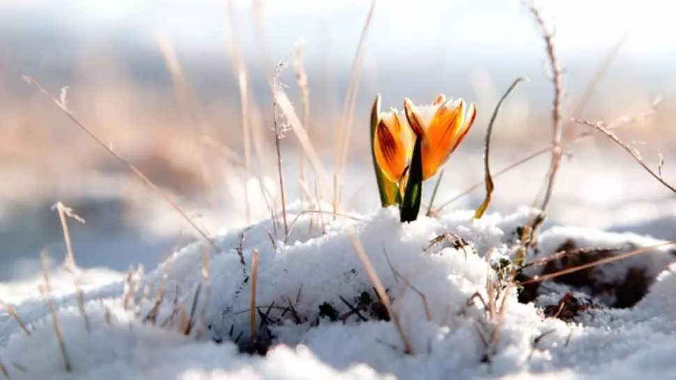 Vremea se schimbă radical: temperaturi de primăvară în toiul iernii