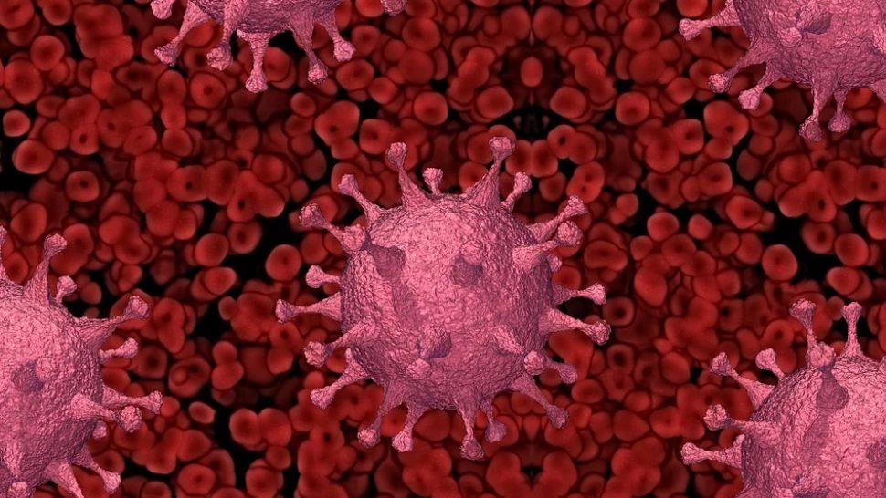 CARE sunt cele 14 categorii de persoane care trebuie TESTATE cu prioritate pentru infecția cu noul CORONAVIRUS