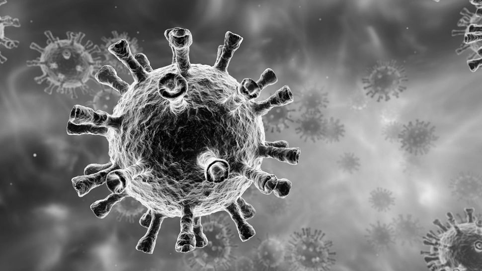 O jumătate de milion de oameni au murit ÎN PLUS în Uniunea Europeană după declanșarea pandemiei de coronavirus, în 2020, față de 2016 și 2019 - RAPORT