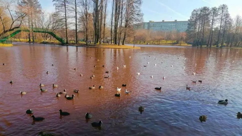 Lacul IOR. Foto: Captură Facebook Ministerul Mediului