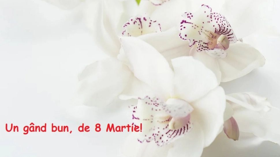 8 martie 2021. Ziua Femeii