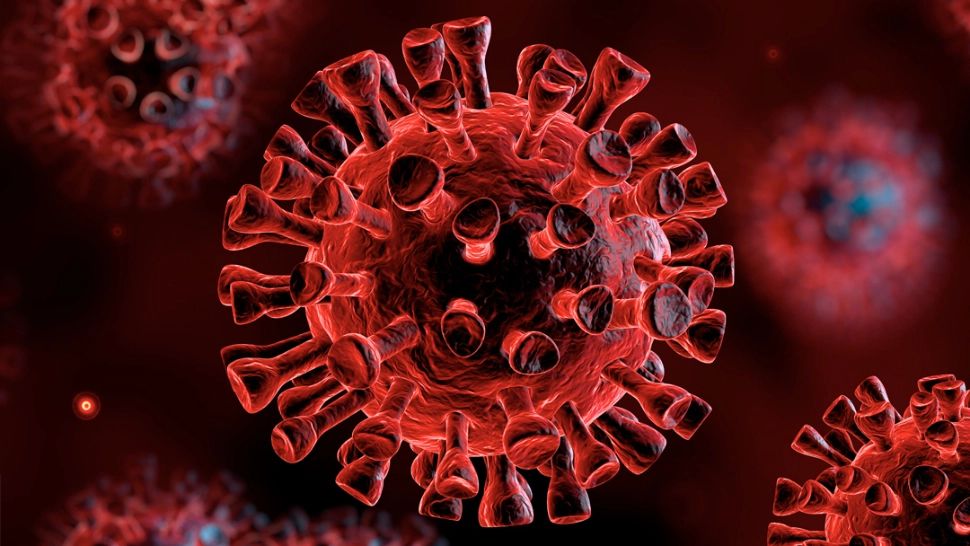 coronavirus Foto: Pixabay.com