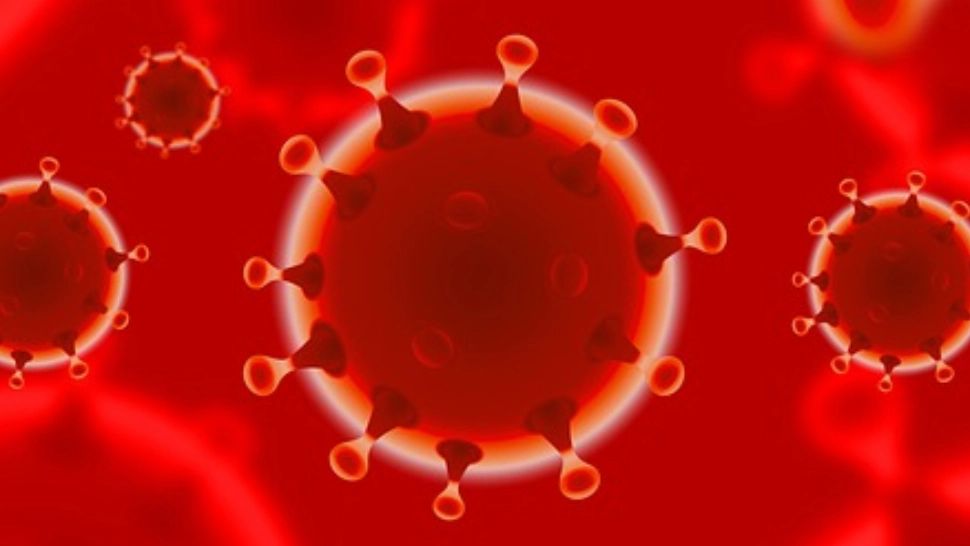 Coronavirus