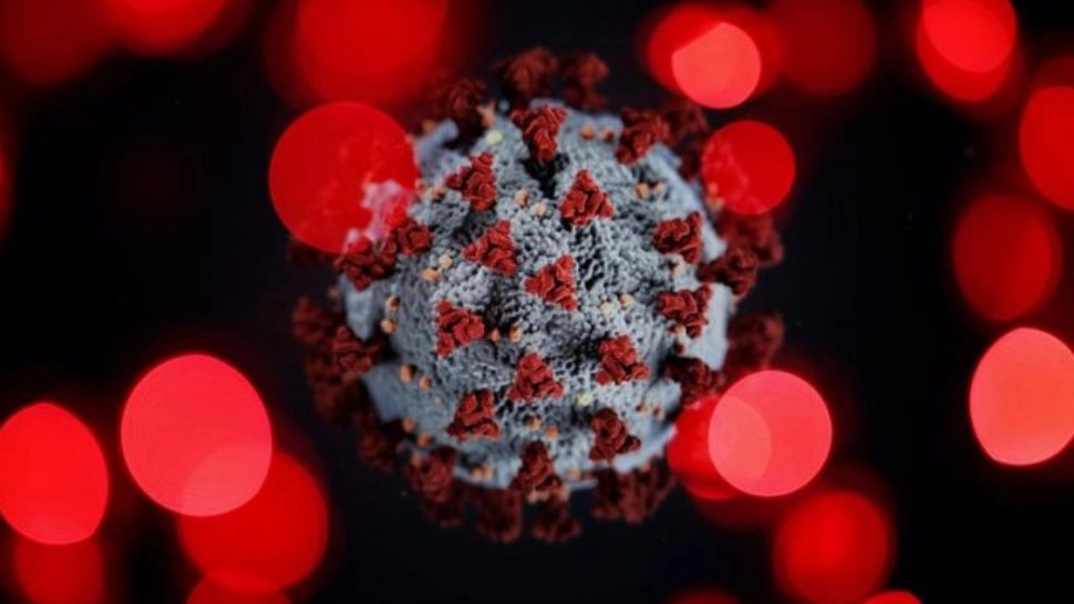 coronavirus Foto: Pixabay.com