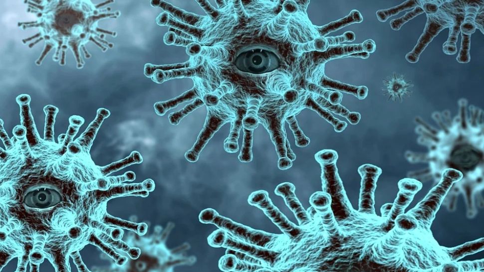 Risc de epidemie