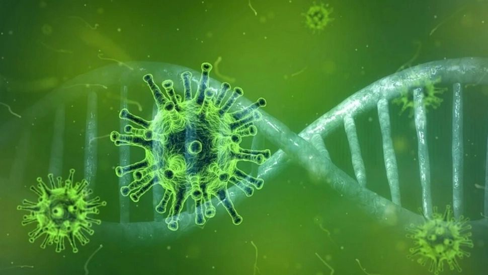 Coronavirus