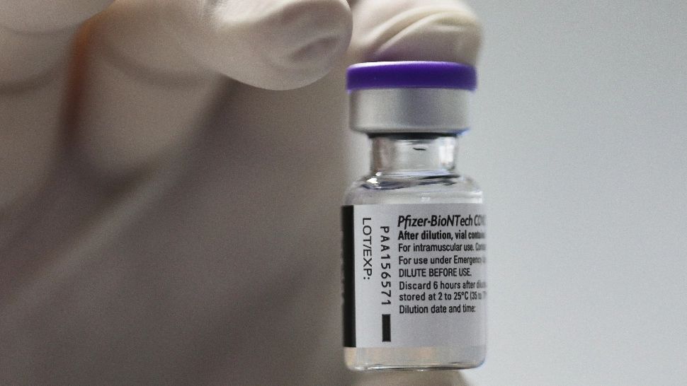 Vaccinuri Pfizer / Foto: INQUAM/Octav Ganea