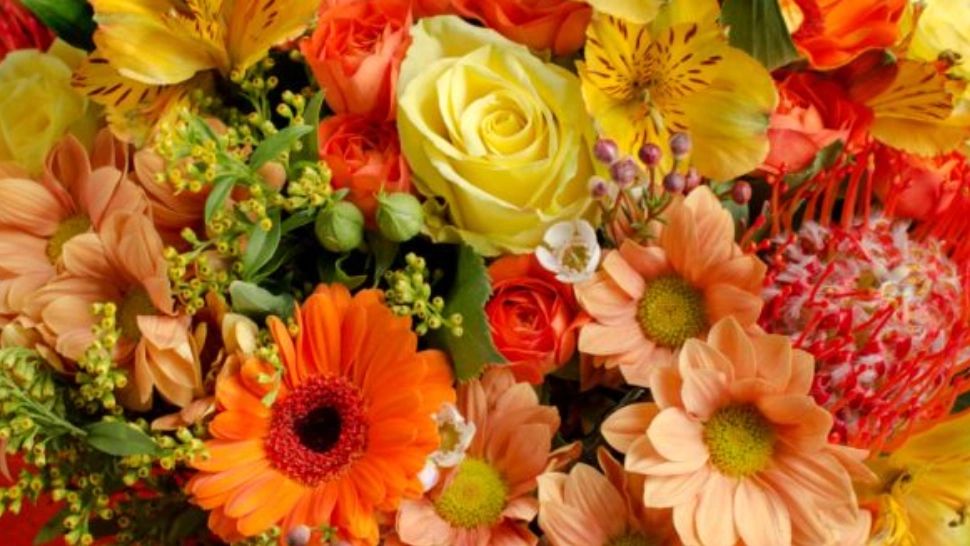 Mesaje și urări de Florii 2021 - Cele mai frumoase gânduri pentru cei sărbătoriţi astăzi, de Florii