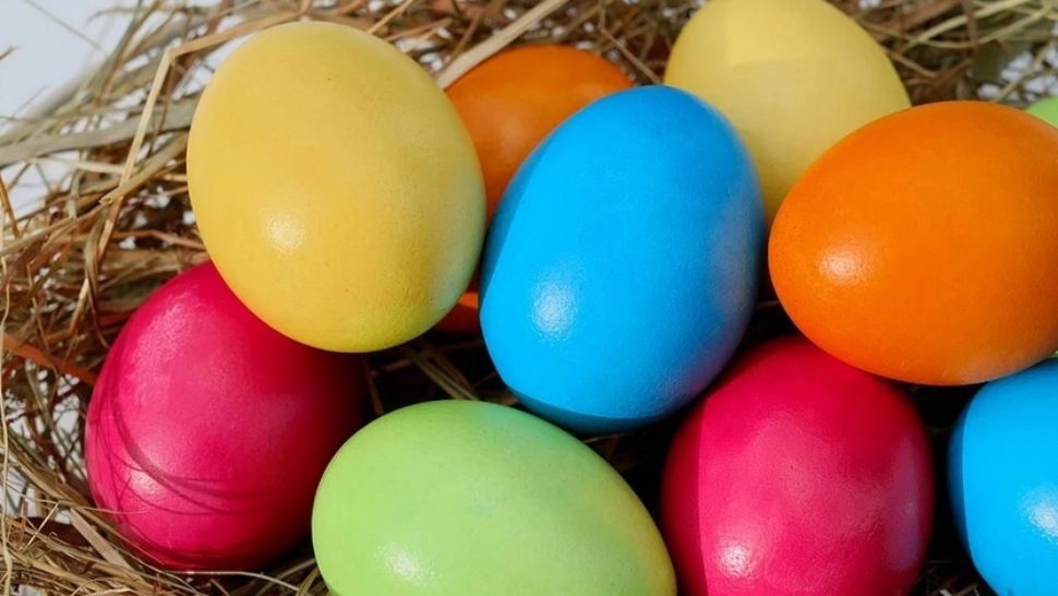 Aditivi vopsea de ouă