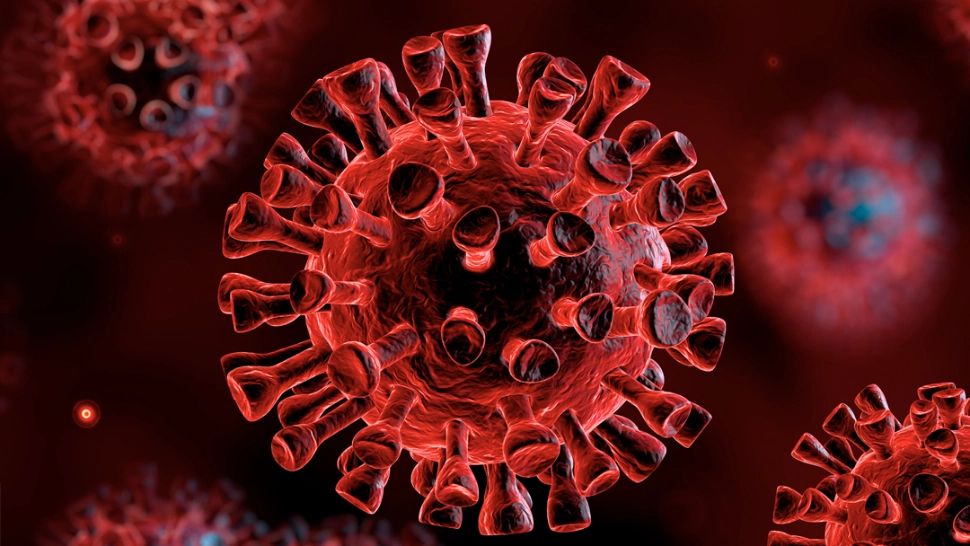 Coronavirus
