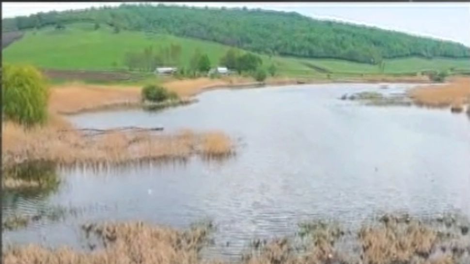 Rezervația Naturală Lozna, județul Botoșani