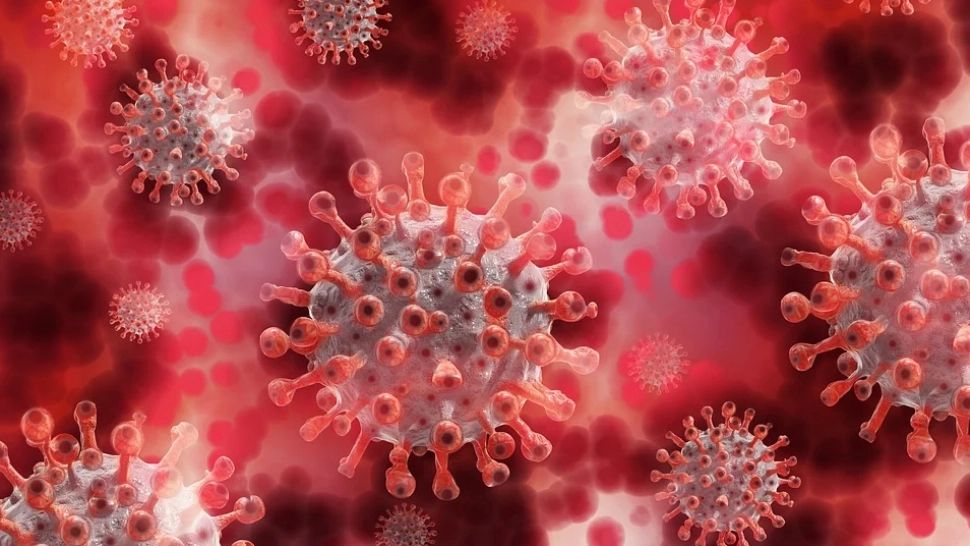 Semnal de alarmă! Tulpina britanică în extindere, iar infectările cu tulpina braziliană, în creștere în România