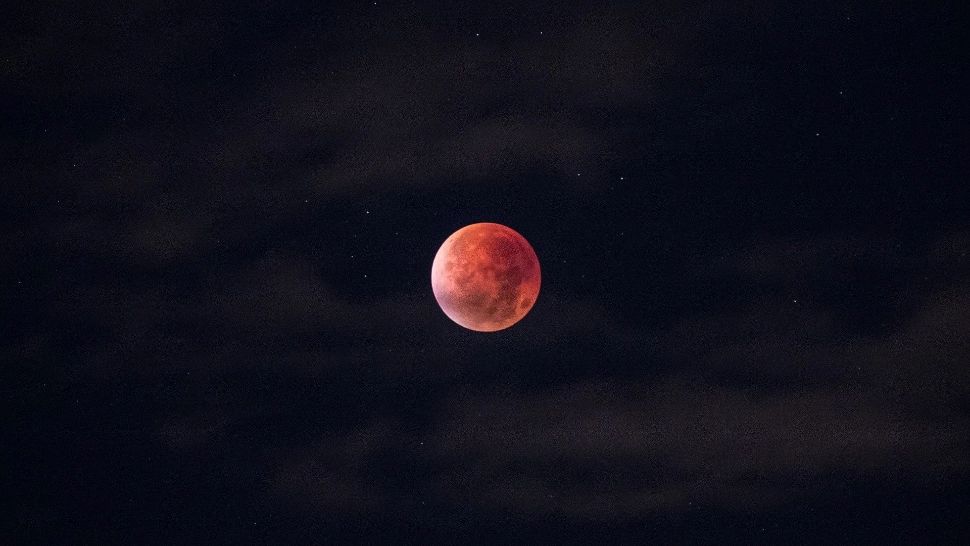 Luna rosiatica - sursa foto: pixabay