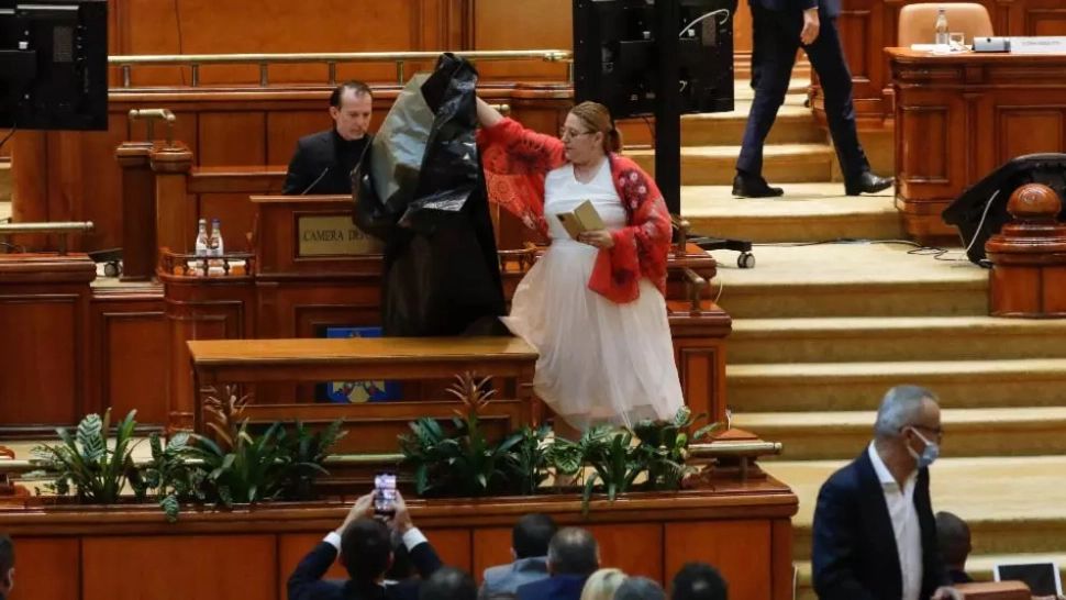 Diana Șoșoacă, senator independent