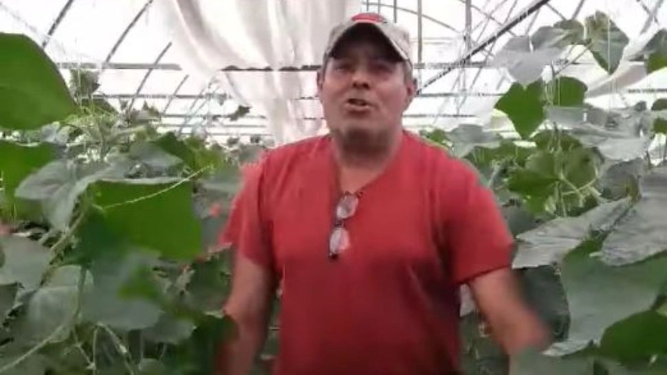 Gestul extrem al unui legumicultor, revoltat că nu are unde să-și vândă marfa. Foto/Captură video.Facebook/iulian.badea
