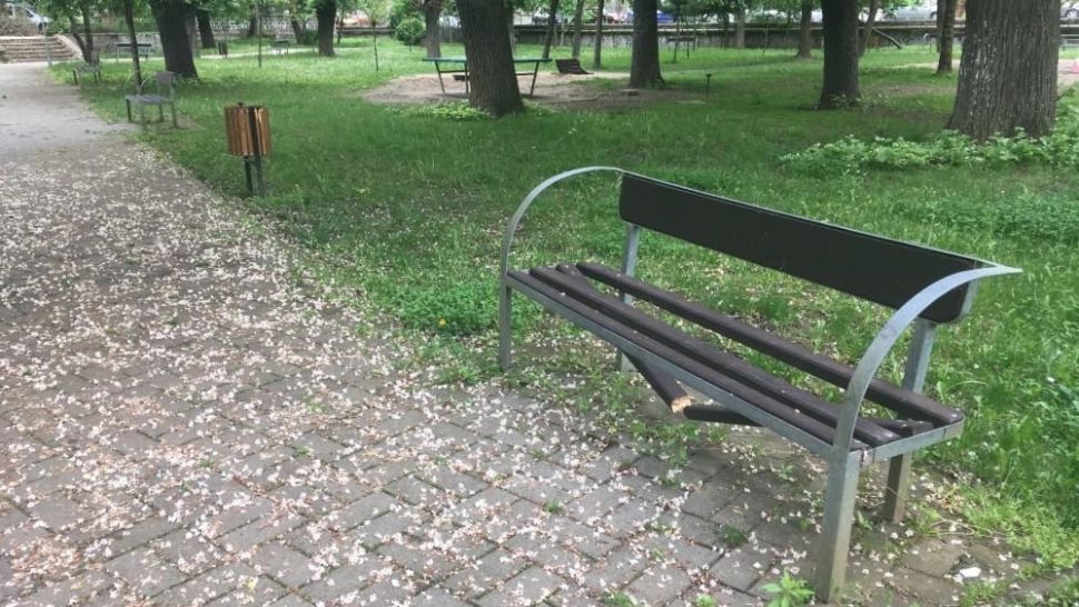 Banca ruptă in parc
