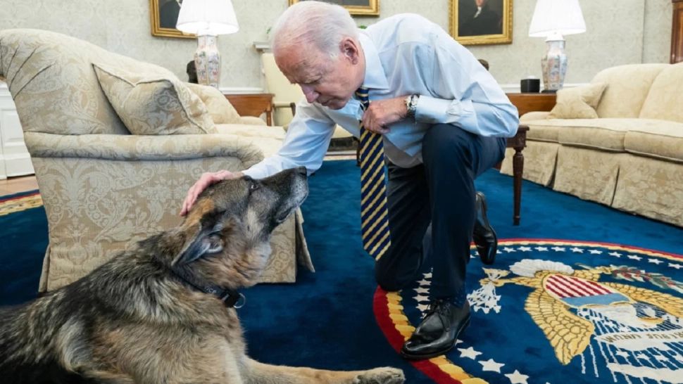 Joe Biden și câinele Champ