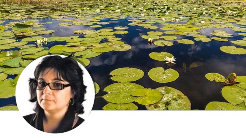 Atena-Adriana Groza, propusă guvernator al Biosferei Delta Dunării 