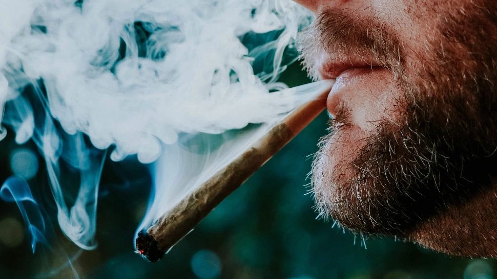 În prezent, marijuana este încadrată ca drog de mare risc
