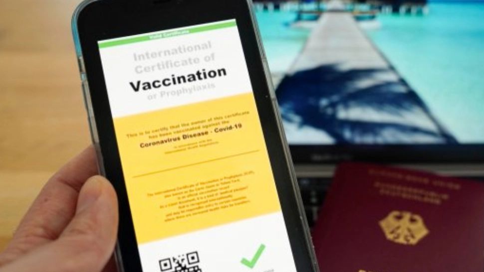 Pașaportul COVID-19, aprobat de Guvern înainte de 1 iulie - Ioana Mihăilă, anunț despre valabilitatea certificatului verde