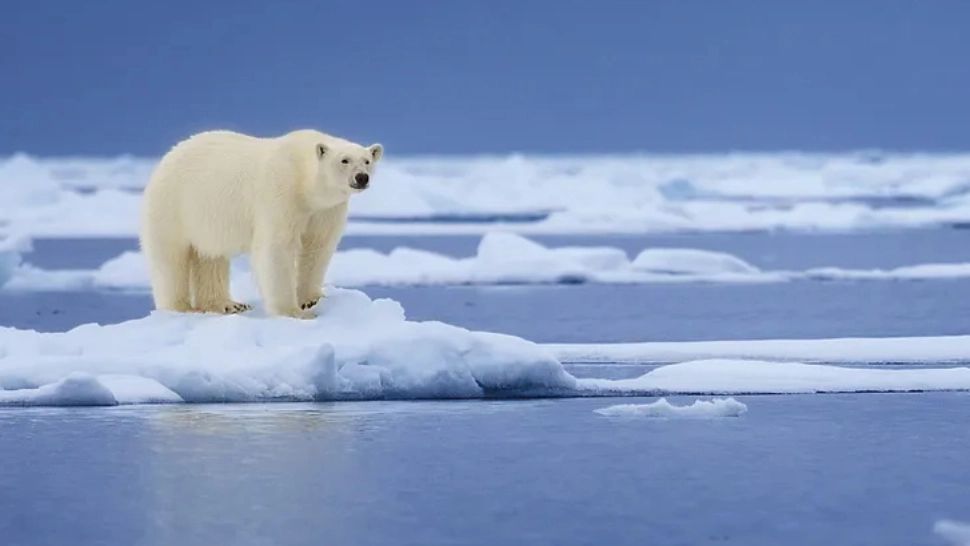 Căldură SUFOCANTĂ la Cercul Polar arctic: Temperatură-record în prima zi de vară
