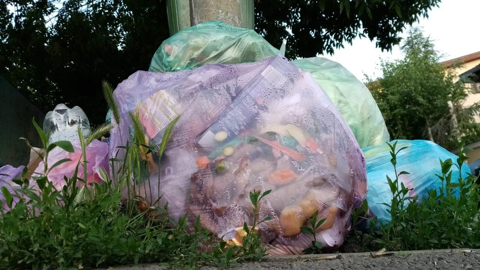 Saci de gunoi pe străzile din Sectorul 1 (foto: Emanuel Focsan)