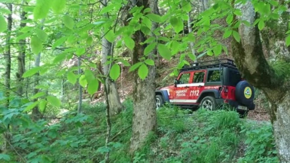 O patrulă formată din doi poliţişti de frontieră a dispărut / Foto: Arhivă