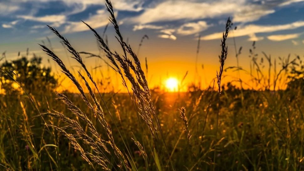 Prognoza meteo pentru 2 săptămâni