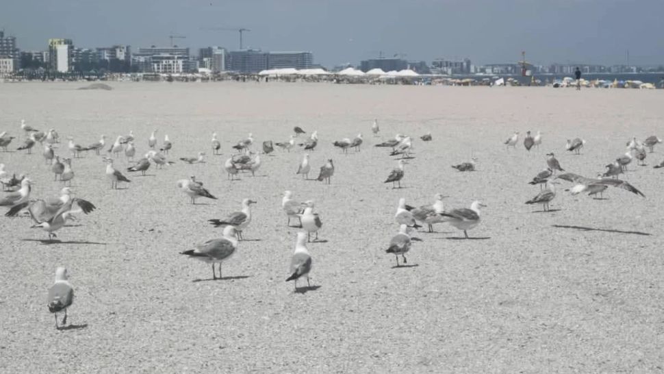 Plaja lărgită Mamaia