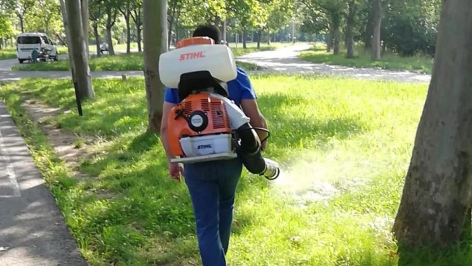 Este invazie de țânțari în țară! Cei mai expuși sunt copiii 