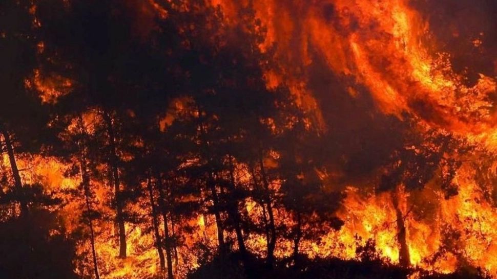 TRAGEDIE fără margini în Turcia! Numărul VICTIMELOR, în creștere, după incendiile uriașe Foto: Twitter