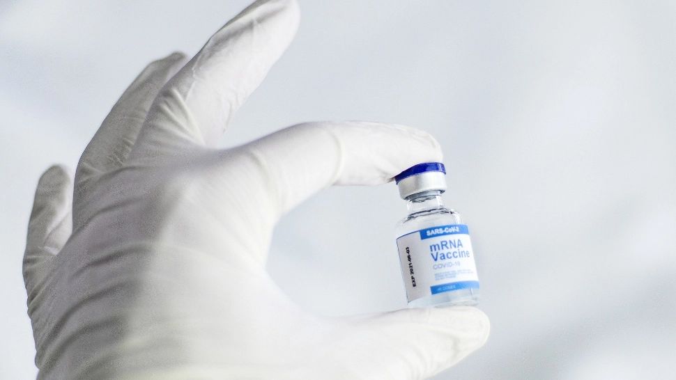 Catedrala Sfântul Ștefan din Viena devine centru de vaccinare. Foto: Pixabay