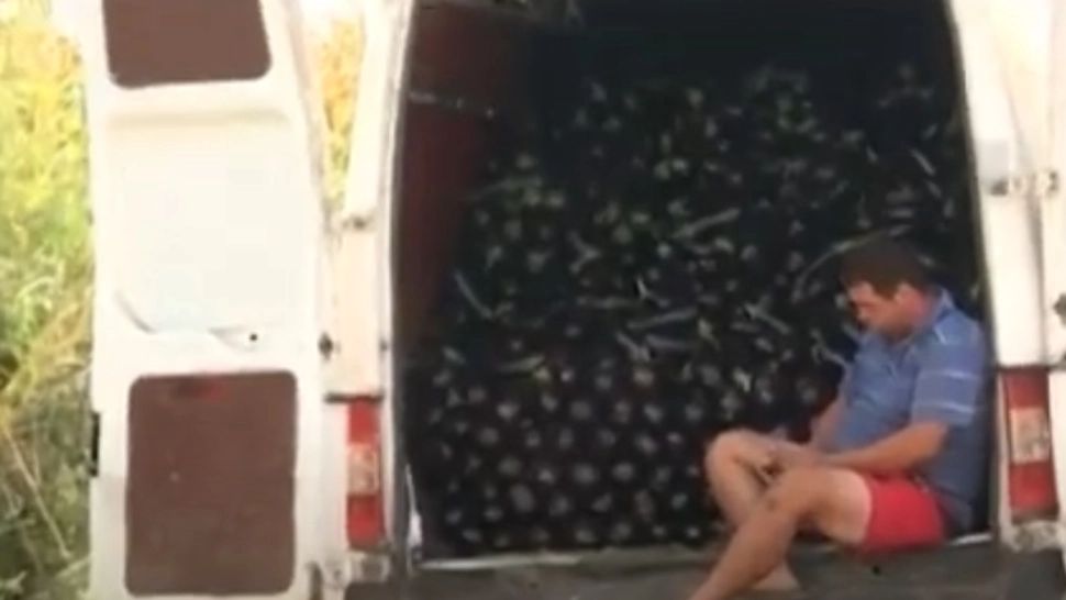 Producător care încearcă să își vândă vinetele