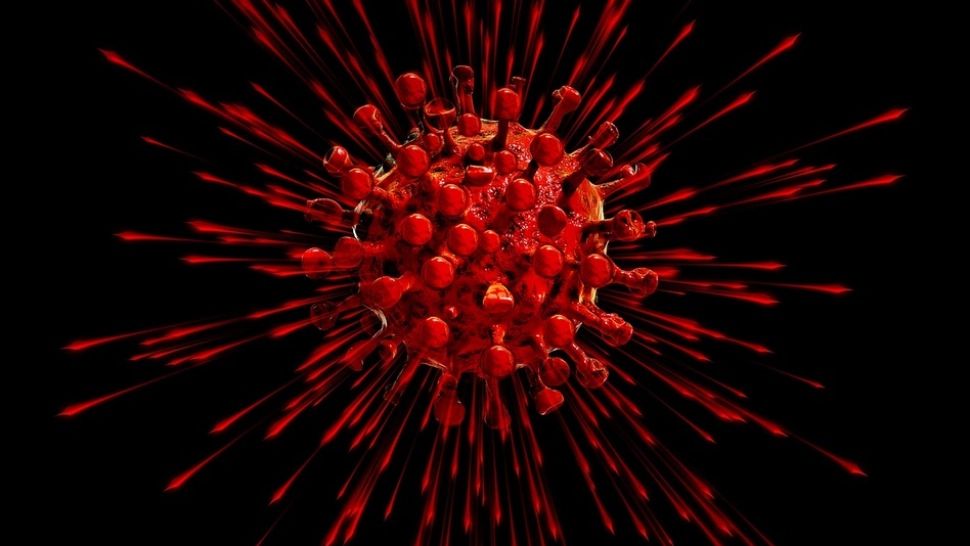 Coronavirus