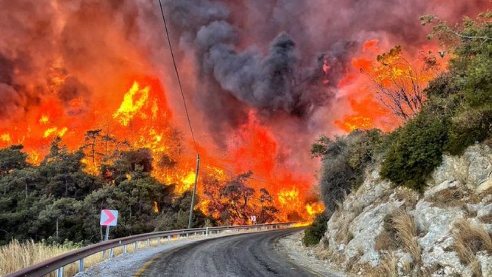 Incendii DEVASTATOARE în Europa din cauza caniculei - Zeci de morți și sute de răniți Foto: Twitter