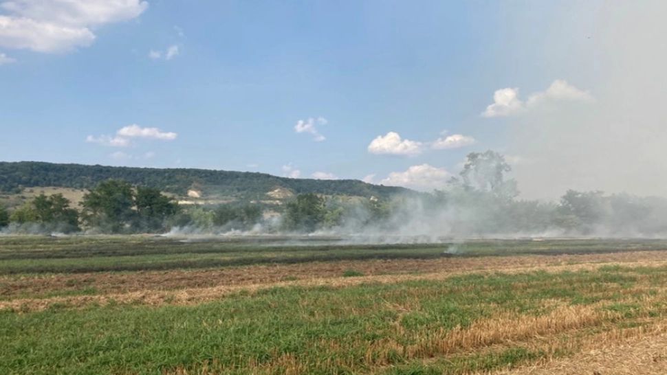 Incendiu vegetație Mureș