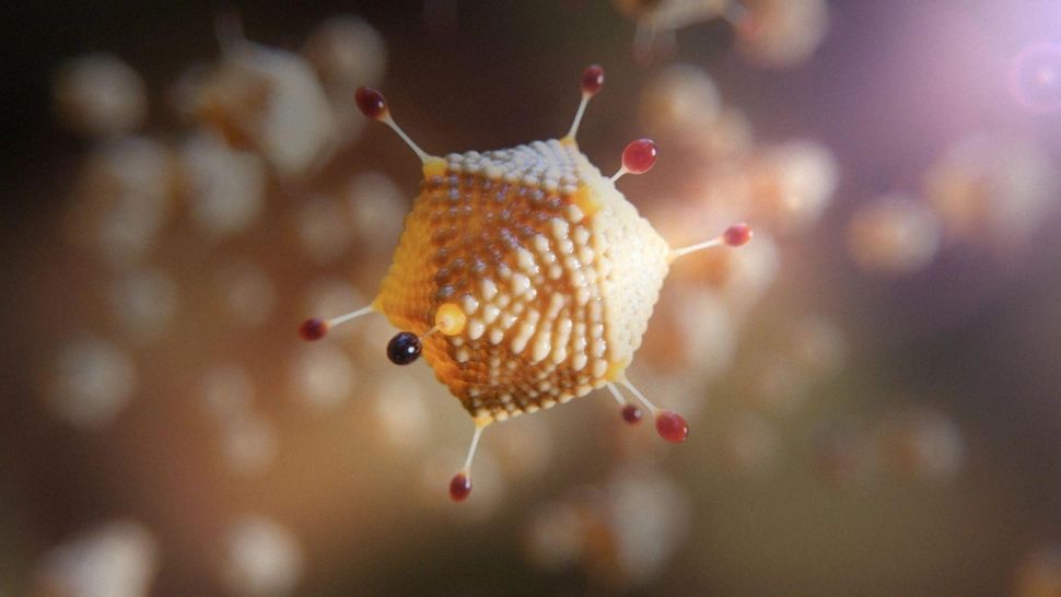 Tulpina Delta Covid