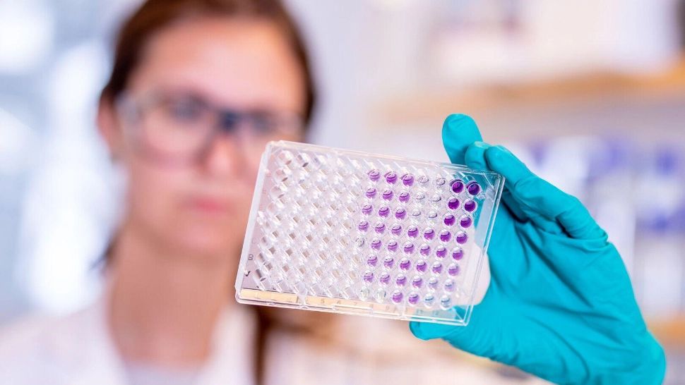 Testare anti-Covid în școală / Foto: Profi Media 