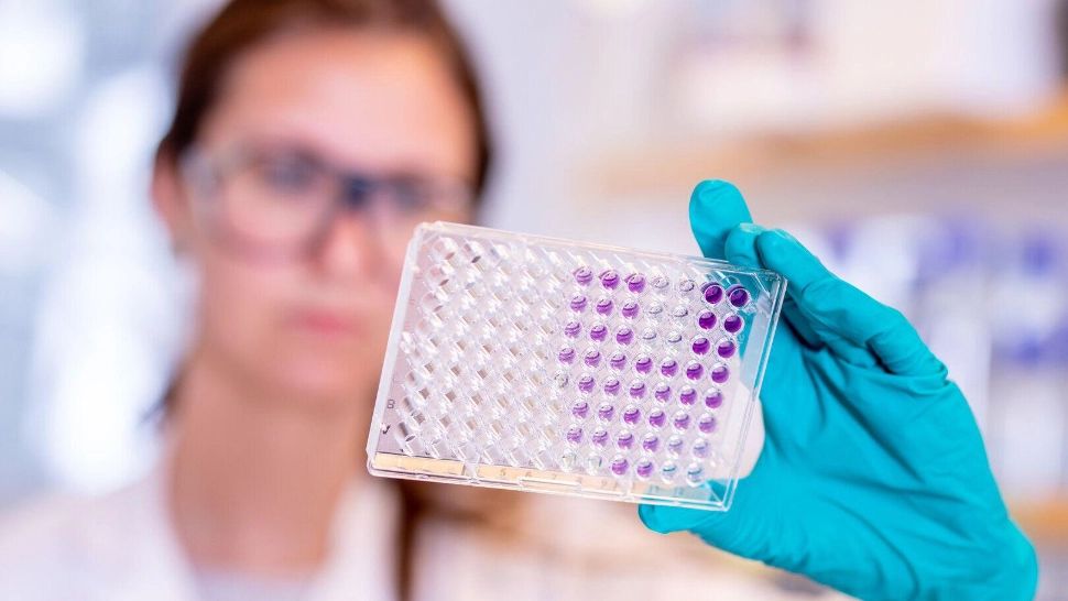 Bilanț coronavirus 16 august / Foto: Profi Media