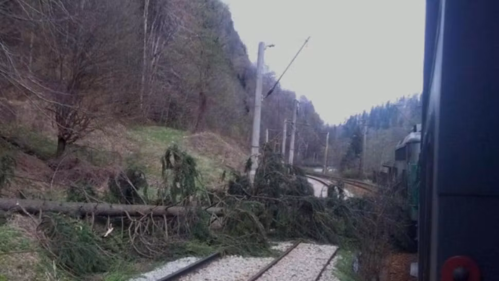 Trenuri de călători BLOCATE în Cluj, Iași, Brașov și Mureș din cauza COPACILOR prăbușiți pe calea ferată
