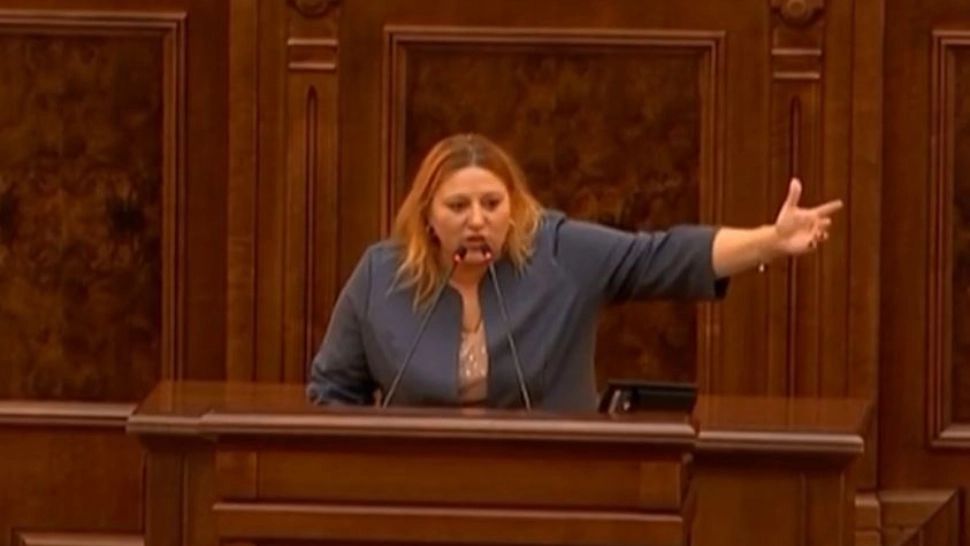 Diana Șoșoacă, senator 