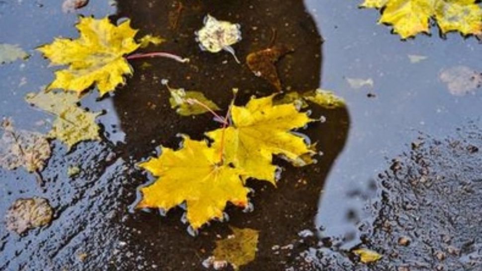 Prognoza meteo 11-24 octombrie. Sursa foto: Arhivă