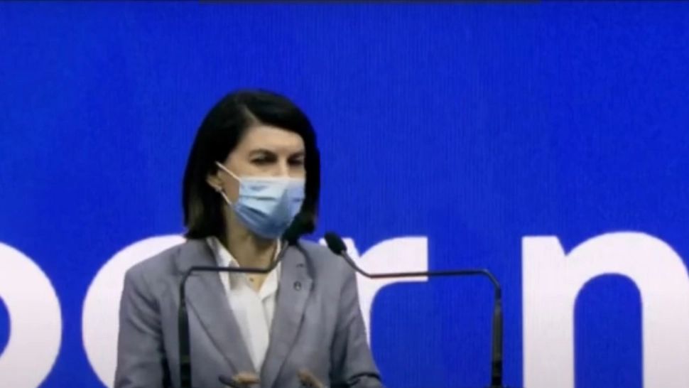 Violeta Alexandru, deputat PNL
