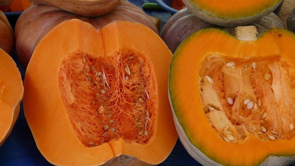 Dietă cu dovleac