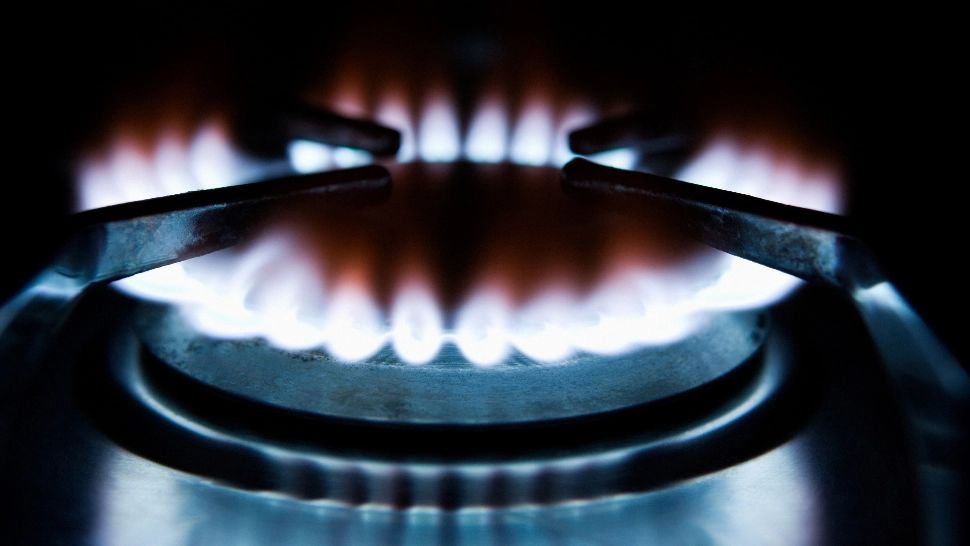 Gazele, preț în creștere cu aproape 60%. Foto/Profimedia