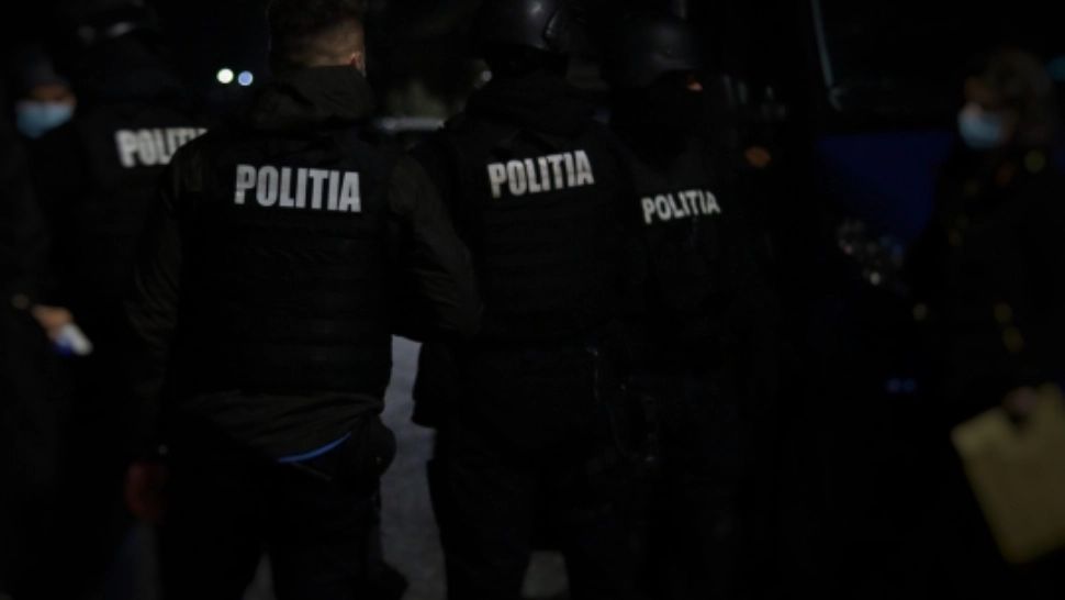Percheziții mafia lemnului Bistrița-Năsăud/ Foto: Poliția Română