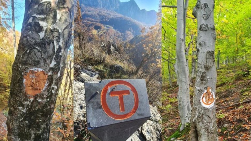 Portiunea din Via Transilvanica vandalizata / Tășuleasa Social