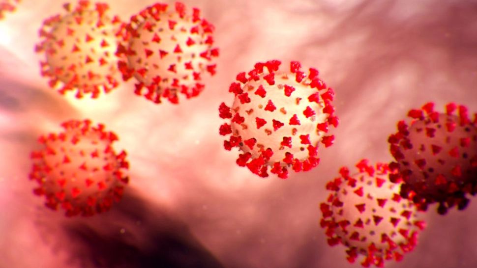 Noua super-tulpină periculoasă din Africa de Sud, deja în Europa